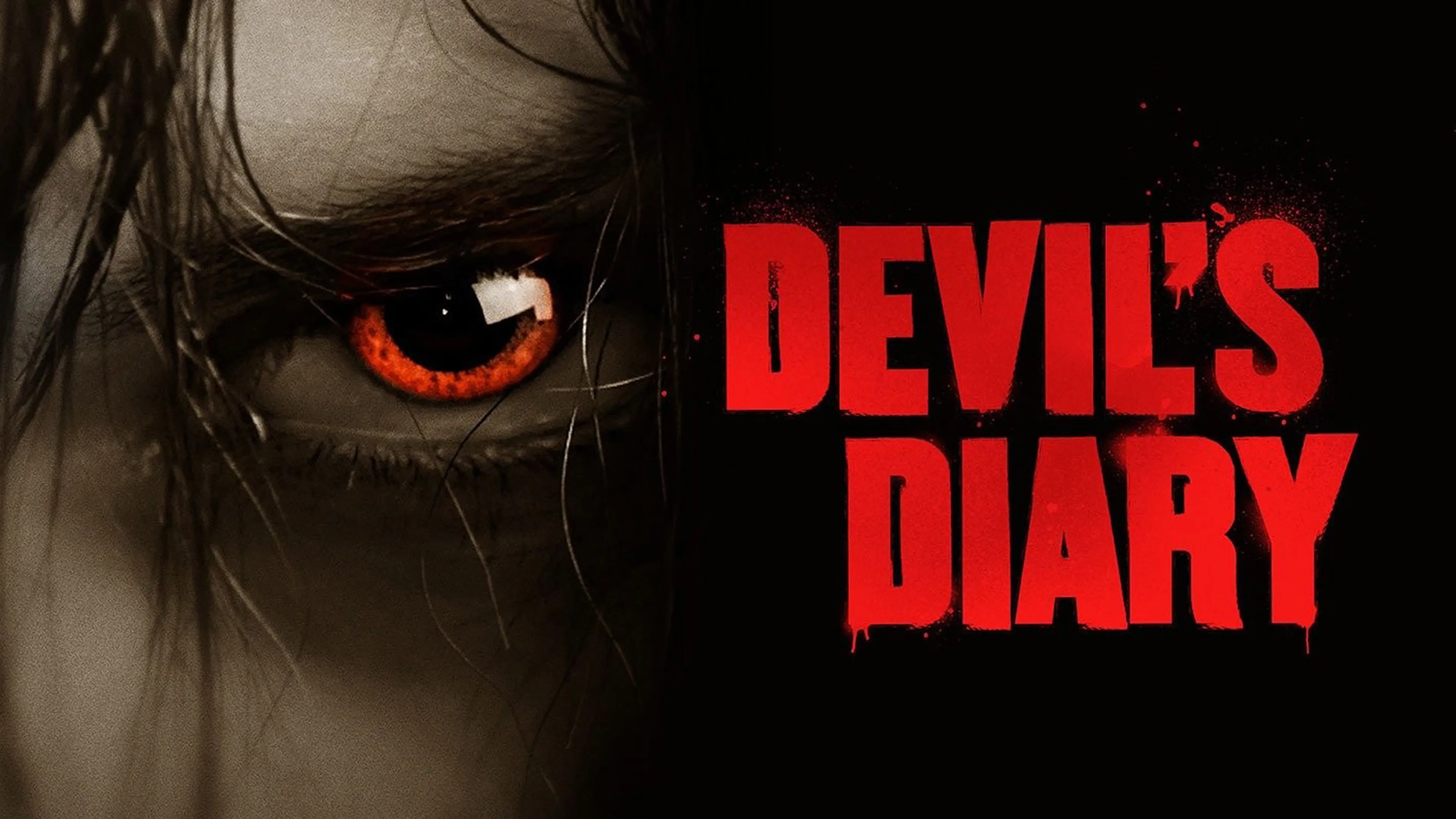 Devil's Diary poster